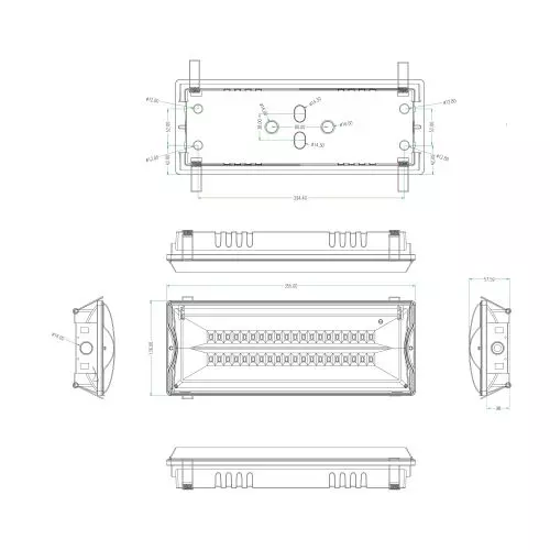 Светильник светодиодный DPA-301-0-65 IP65 40LED 3ч аварийный непостоянный Проектный Эра Б0044405
