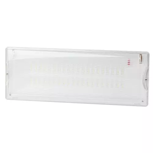 Светильник светодиодный DPA-301-0-65 IP65 40LED 3ч аварийный непостоянный Проектный Эра Б0044405