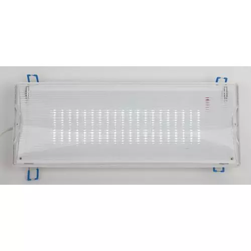 Светильник светодиодный DPA-301-0-65 IP65 40LED 3ч аварийный непостоянный Проектный Эра Б0044405