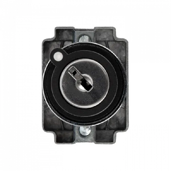 Переключатель BD21 2P с замком NO Rexant 36-5552