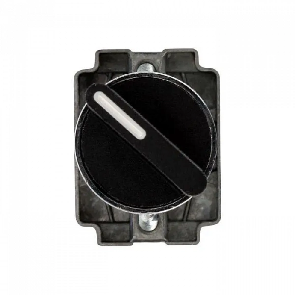 Переключатель BD21 2P короткая ручка NO Rexant 36-5550
