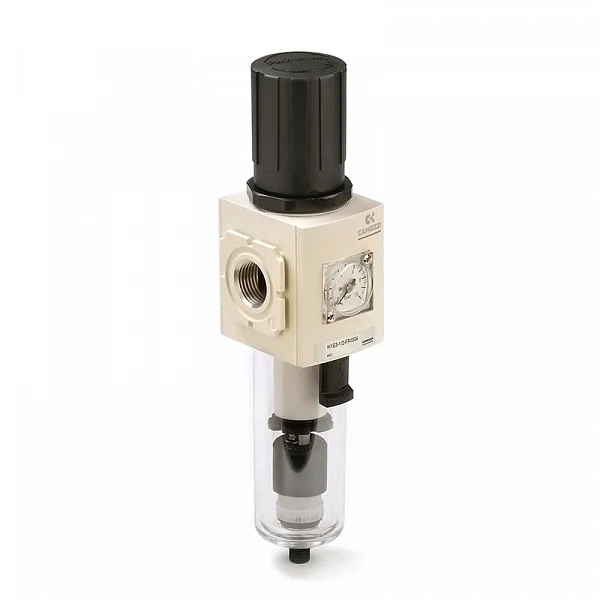 NXE3-1/2-FR0304 ФИЛЬТР-РЕГ. 40 МКМ С МАН