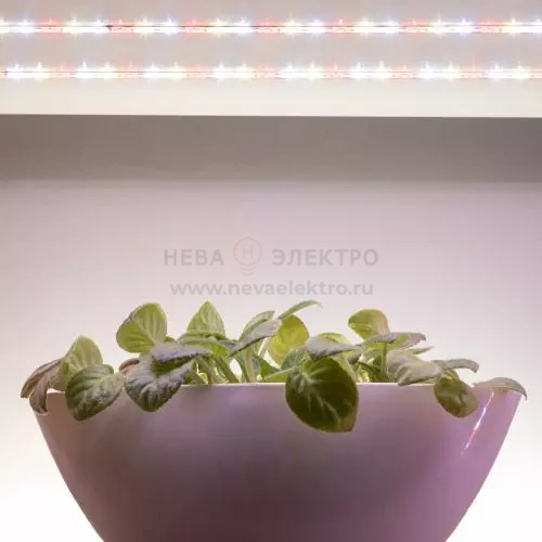 Лента светодиодная FITO-Strip Light-Rа90-3m 3м для растений полноспектральная IP65 Эра Б0059881