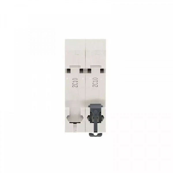 Выключатель автоматический 2п City9 Set (АВ) С 10А 6кА 230В SE C9F36210