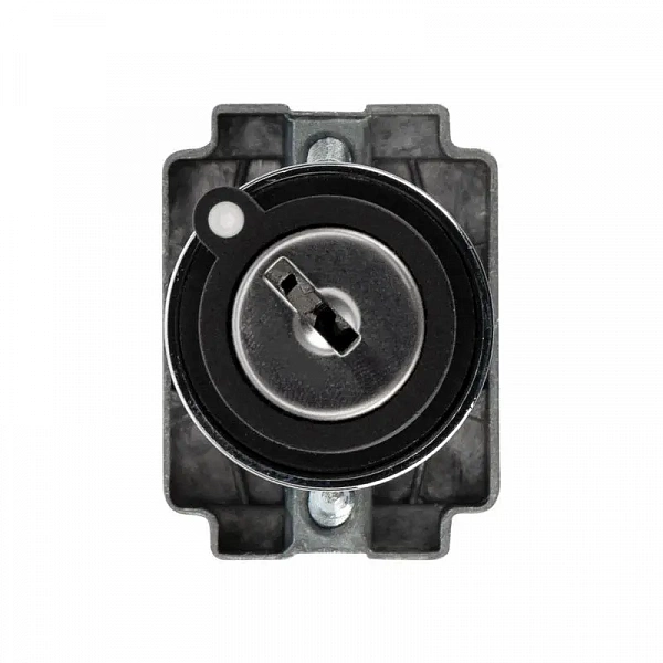 Переключатель BD32 3P с замком NO Rexant 36-5553